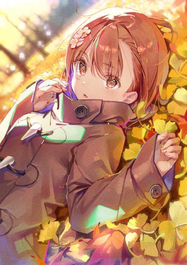 Amazon.co.jp: 御坂美琴 イラスト集 MISAKA MIKOTOコレクション : おもちゃ